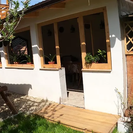 Pensiunea Casa Eliza Maria Guest house *