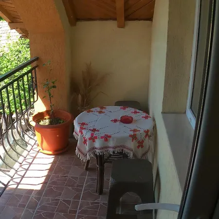 Pensiunea Casa Eliza Maria * Bucsenesti