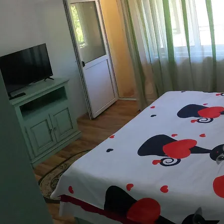 Pensiunea Casa Eliza Maria Guest house Bucsenesti