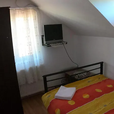 Guest house Pensiunea Casa Eliza Maria *