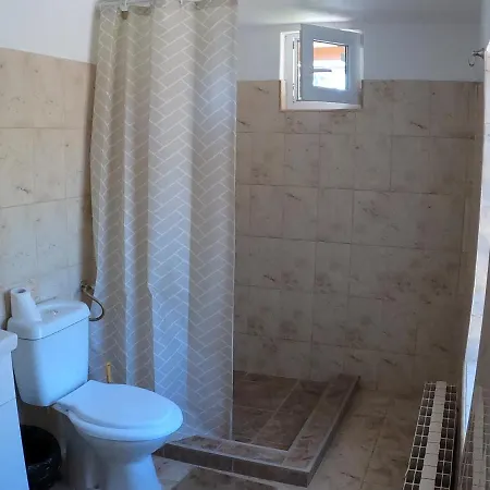 Pensiunea Casa Eliza Maria Guest house Bucsenesti