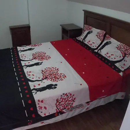 Guest house Pensiunea Casa Eliza Maria *