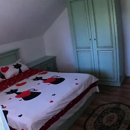 Pensiunea Casa Eliza Maria * Bucsenesti