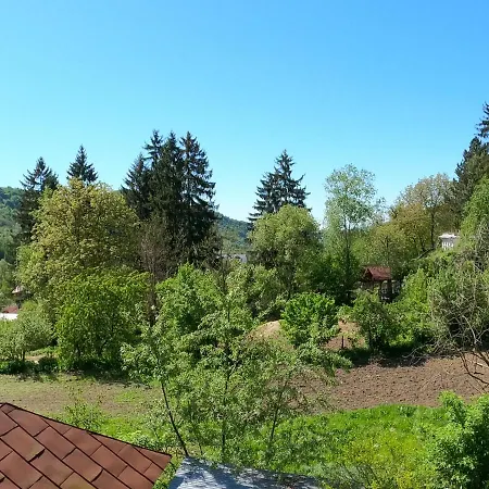 Pensiunea Casa Eliza Maria * Bucsenesti