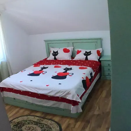 Guest house Pensiunea Casa Eliza Maria Bucsenesti