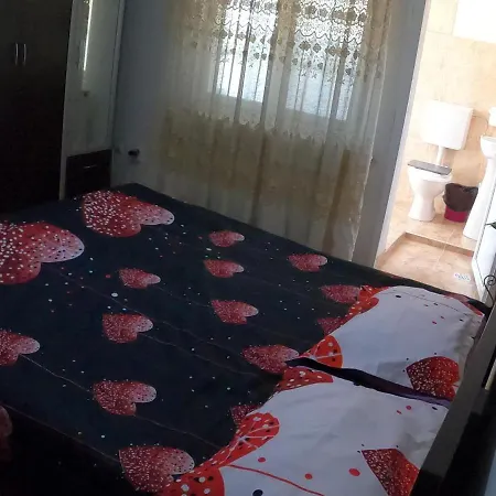 Guest house Pensiunea Casa Eliza Maria