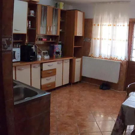 Pensiunea Casa Eliza Maria Guest house *