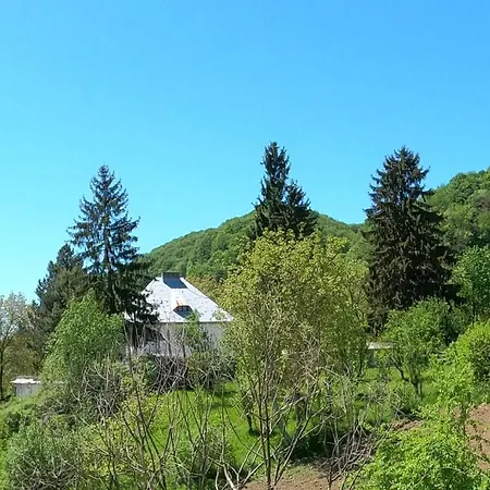 Pensiunea Casa Eliza Maria * Bucsenesti