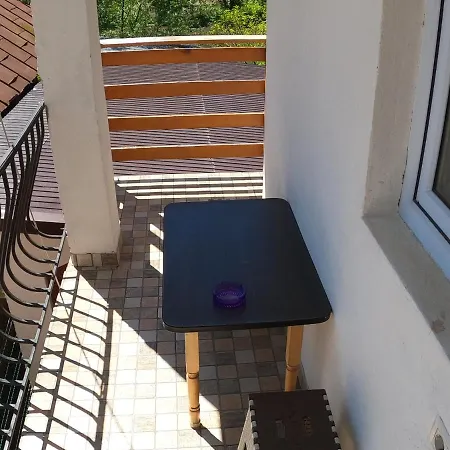 Pensiunea Casa Eliza Maria * Bucsenesti