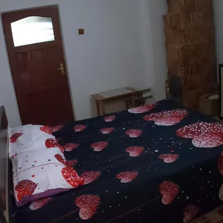 Pensiunea Casa Eliza Maria *